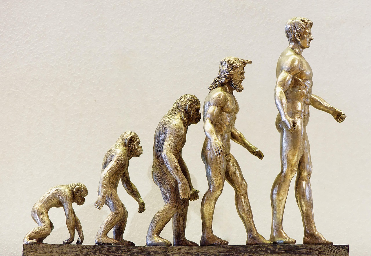 evolution-4107273_1280